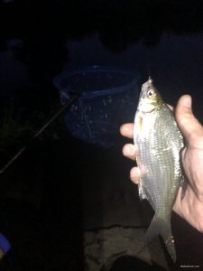 20180823_рыбалка_Северский_Донец(0011).JPG