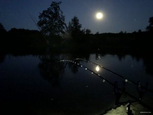 20180824_рыбалка_Северский_Донец(0012).JPG