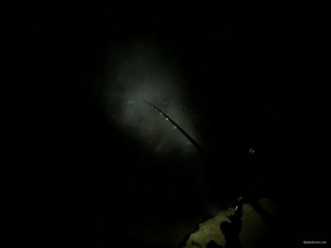 20180825_рыбалка_Северский_Донец(0003).JPG