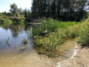 20180825_рыбалка_Северский_Донец(0006).JPG