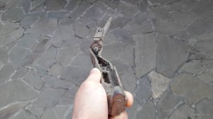 66782.jpg