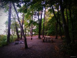 IMG_20180901_162059.jpg