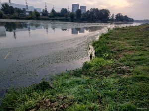 IMG_20180902_055546.jpg