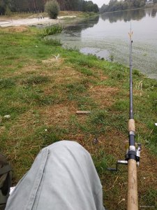IMG_20180902_081805.jpg
