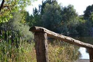 DSC_0179.JPG