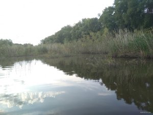 IMG_20180903_152457.jpg