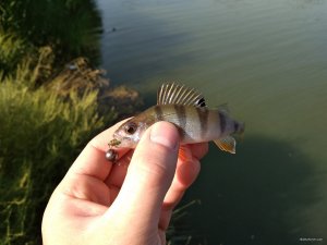 IMG_20180905_084921.jpg