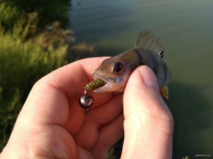 IMG_20180905_084929.jpg