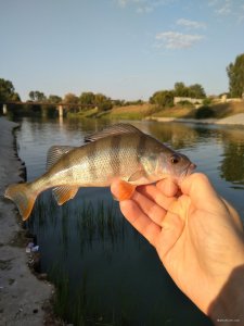 IMG_20180830_071028.jpg