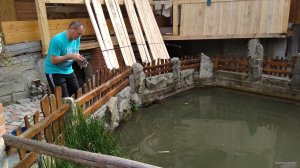 IMG_20180905_102742.jpg