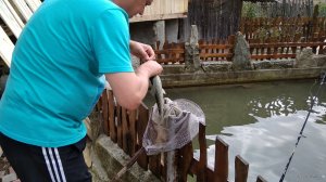 IMG_20180905_103907.jpg
