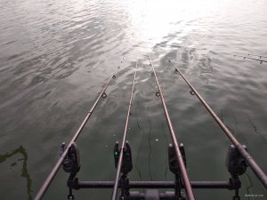 IMG_20180906_175259.jpg