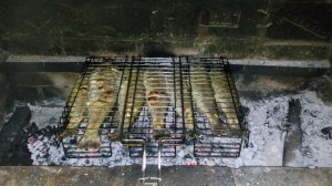 IMG_20180719_133835.jpg