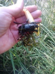 IMG_20180908_074646.jpg