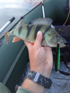 IMG_0340.JPG