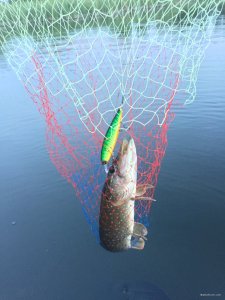 IMG_0345.JPG