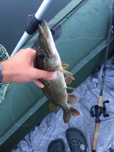 IMG_0356.JPG