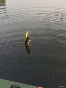 IMG_0375.JPG