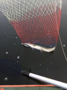 IMG_0389.JPG