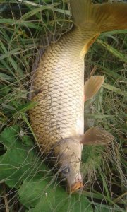 20180908_131417.jpg