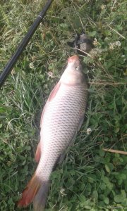 20180908_133744.jpg