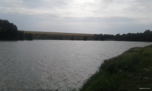 20180908_131446.jpg