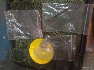 IMG_20180908_162151.jpg