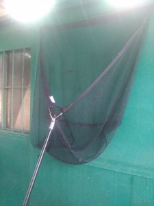 IMG_20180908_162937.jpg