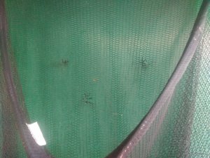 IMG_20180908_163004.jpg