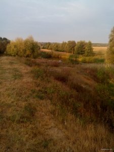 IMG_20180908_064209.jpg