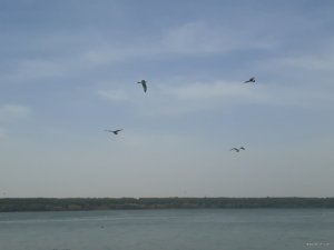 20180906_120539.jpg