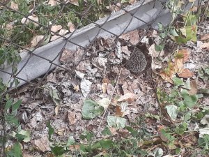20180906_133511.jpg