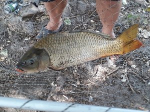 20180905_115325.jpg