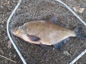 20180907_102448.jpg