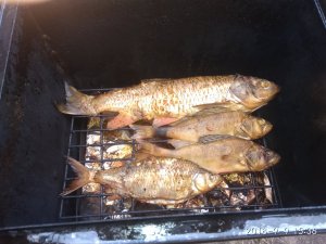 IMG_20180909_153700.jpg