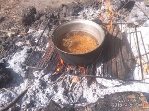 IMG_20180908_104148.jpg
