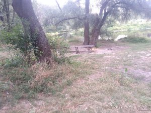 IMG_20180908_085352.jpg