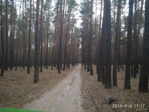 IMG_20180906_171719.jpg