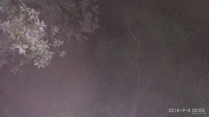 IMG_20180908_000534.jpg