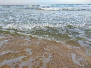 IMG_20180829_183723.jpg