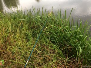 IMG_5310.JPG