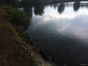 IMG_5313.JPG