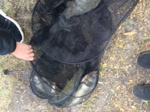 IMG_5365.JPG