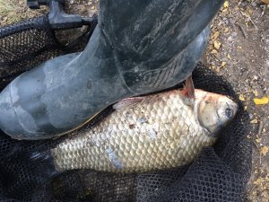 IMG_5367.JPG