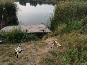 EAB3A134-873D-4B10-B52A-6F72E56536F5.jpeg