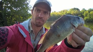 WP_20180912_09_09_10_Pro.jpg