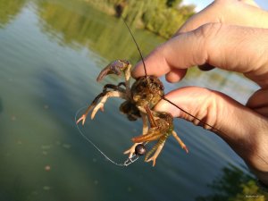 IMG_20180914_092220.jpg