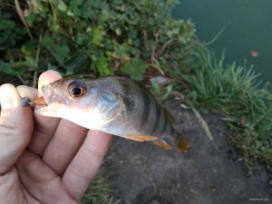 IMG_20180914_125102.jpg
