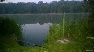 WP_20180913_001.jpg