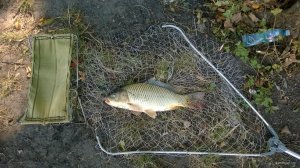 WP_20180914_004.jpg